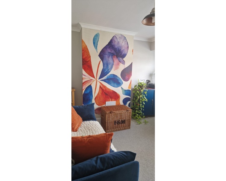 Property Painters Ltd  | Painter and Decorator in Brighton | Painter and Decorator in Hove | Painting and decorating in Brighton