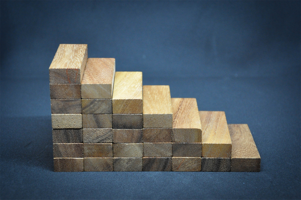 Seven stages of successful leadership