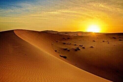 Desert Safari Dubai | Quad Bike Tours | Self Drive Dune Buggy Adventures