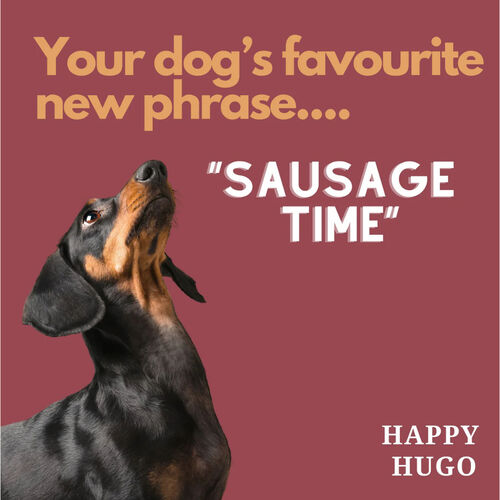 Pork & Beef Deli Sausages for dogs by Happy Hugo 200g