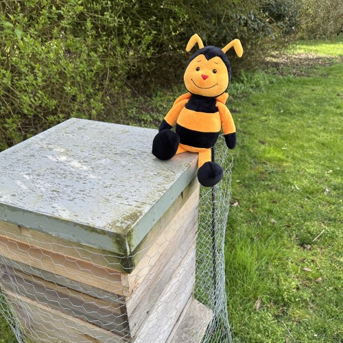 2026 season kicks off!