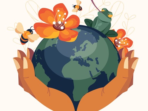 BNG gets an Update, check it out here! | Omega Ecology Ltd | Preliminary Ecological Assessment (PEA)  | Biodiversity Net Gain (BNG )   | Ecological Clerk of Works (ECoWs)   