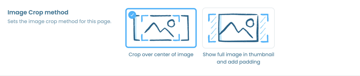 Screenshot of Webfactory's Website Editor with the new image crop method settings