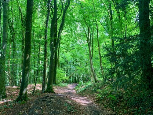 FULL - Monasticism in the Wye Valley, England/Wales borders 2026 - FULL