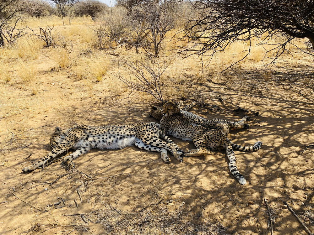 A Sense Of Belonging