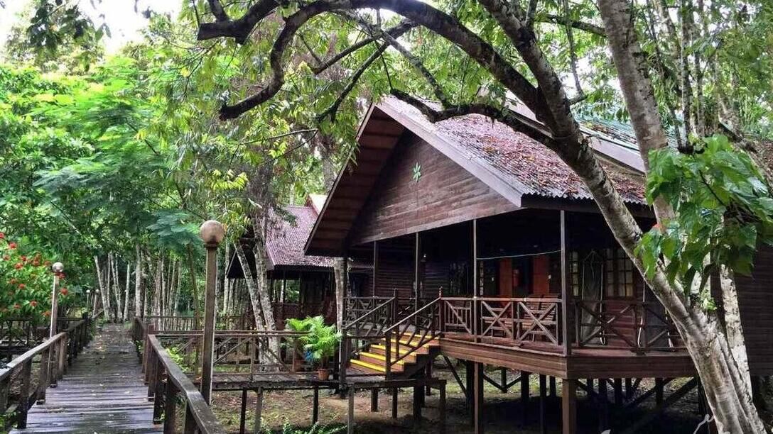 Borneo Rainforest Lodge - Danum Valley