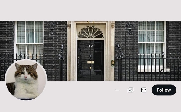 Political paws! No.10’s moggy backs growing pets in lets campaign