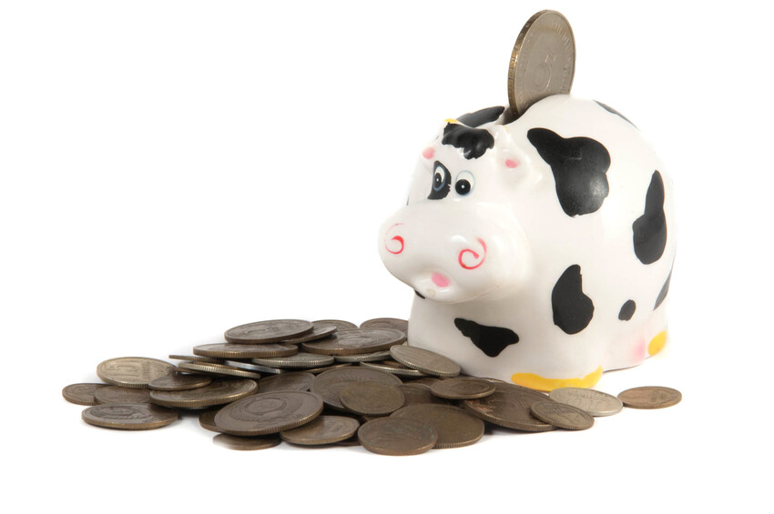 Whats happening with Seasons Holidays?