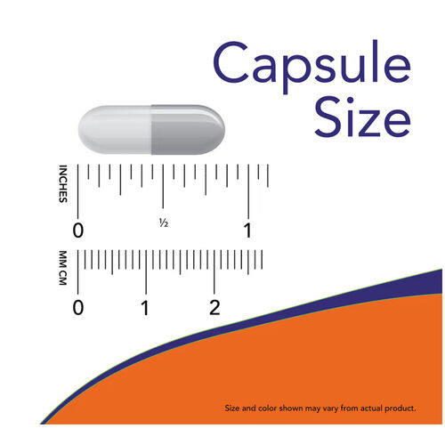 NOW Foods Alpha Lipoic Acid 100mg - 120 Veg Capsules