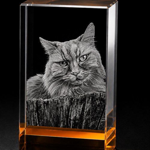 Pet 3D Crystal Gifts | 3d Crystal Shop | 3d crystal glass engraving | Personalised 3d engraving  | 3d crystal photo