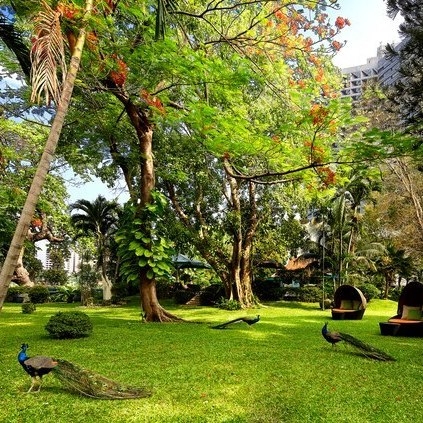 Royal Orchid Sheraton Hotel & Towers