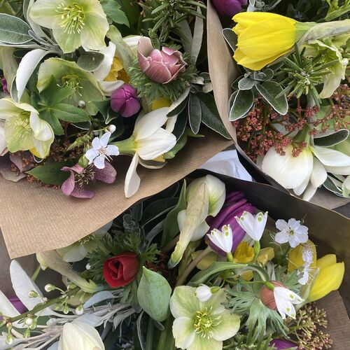 Pick of the Day Subscription