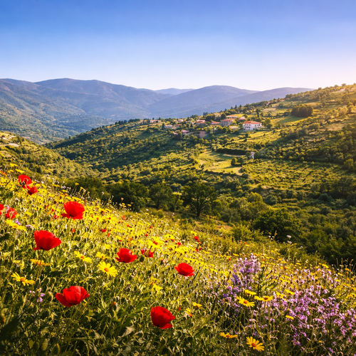 Cyprus Weather Guide: The Best (and Worst) Times to Visit | Expats Alliance of Professional Standard | Trusted Professionals for Individuals and Families Moving Abroad | Expat Services Directory | Real Estate Lawyers and Accountants Europe