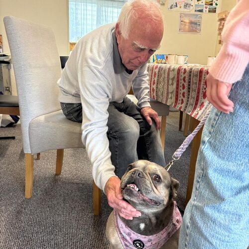 Elderly gent sat at the table smoothing a dog at Your Care's Dementia Day Club in Hanham, Bristol