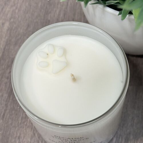 Because your dogs farts are not aromatherapy candle