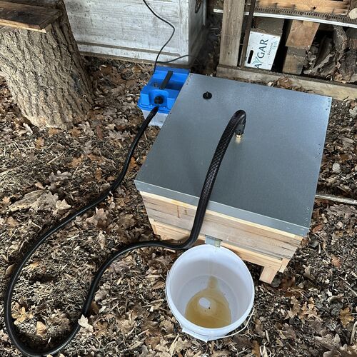 Gallery | East Anglia Apiaries | Raw honey | Local honey | Natural Honey