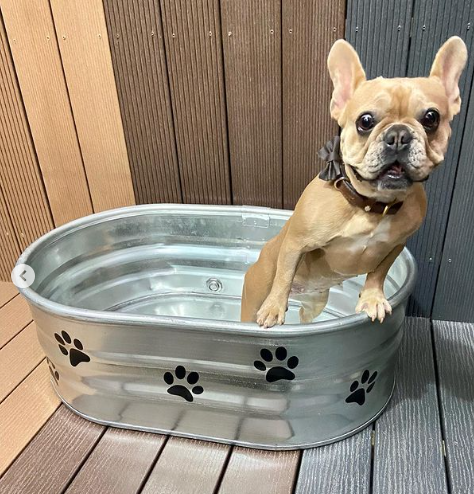 Gallery | Tub Tanks | ​Ice Baths Cold Water Therapy | ​Wood fired hot tubs | ​Stock tanks