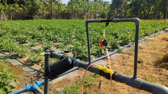 யாழ்ப்பாணத்தில் நீரை மீதப்படுத்தும் புதிய முயற்சி வெற்றி