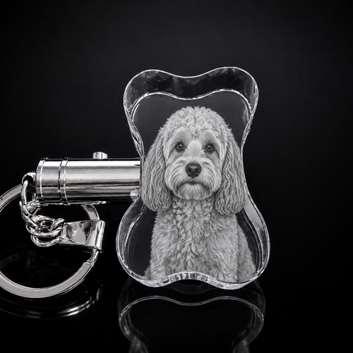 XXXL 3D Crystal Dog Bone LED Photo Keyring