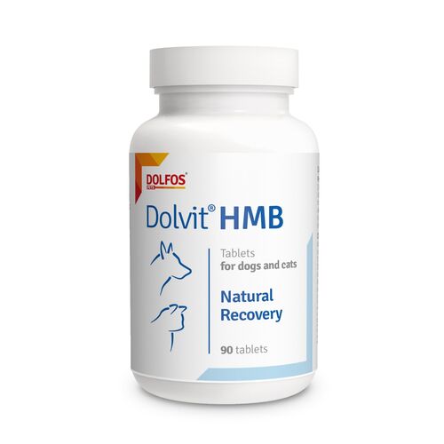 Dolvit HMB 90 tab