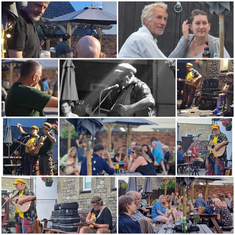 Welcome Parrots return...