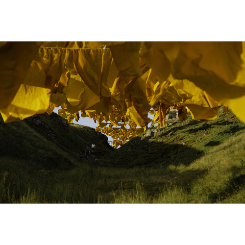 Art installation "Hush" - County Durham