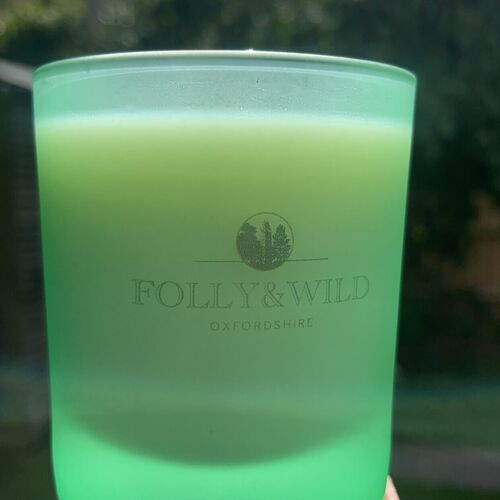 Sea Glass Tumbler
