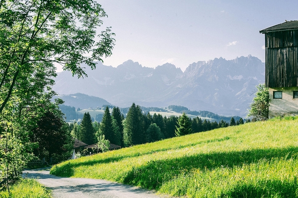 Can You Claim Adverse Possession of Land?