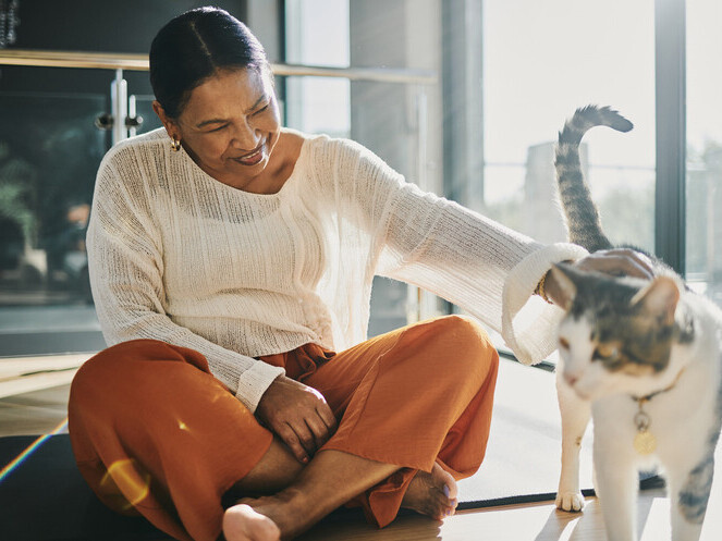 Pre-Paid Pet Cremation Booking | Rainbow Bridge Pet Funeral Services