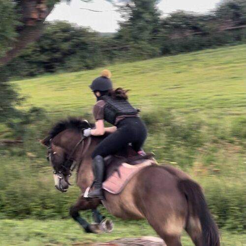 14 August - Introduction to cross country riding -Age8+ - Grade 3+ £45.00