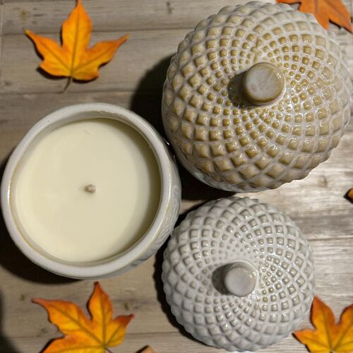 Luxury Acorn Candle - Large Pet-Safe Candle