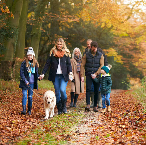 The Exeter Health Insurance 