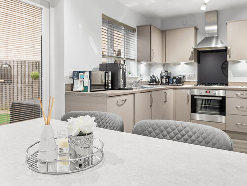 Lapwing Place, Alloa, FK10 1SJ