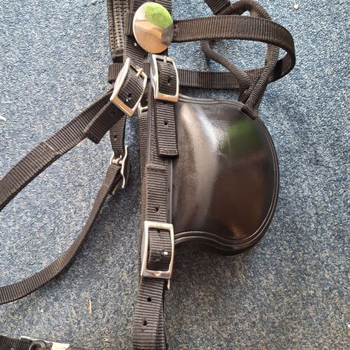 Bridle - Tedex Cob *Secondhand*
