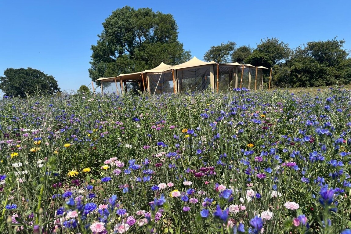 Our Services | Yorkshire Stretch Tents | Bespoke Stretch Tents Hire Yorkshire | Festival Marquee Hire | Wedding Venue Tent Hire