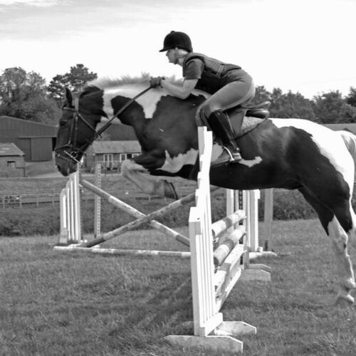 SUMMER EVENTS | Brampton Stables LLP | Riding Lessons in Church Brampton | Horse Riding all ages near Althorp Estate | Learn to Ride near Northampton