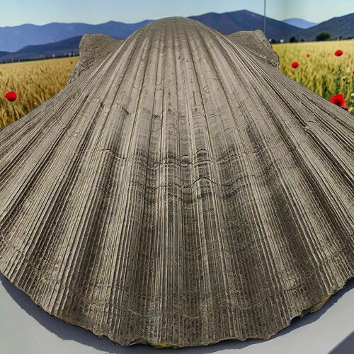 Handcrafted Scallop Shell Trinket Dish