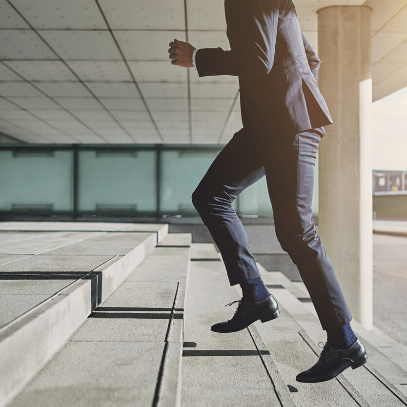 Career coaching & mentoring division