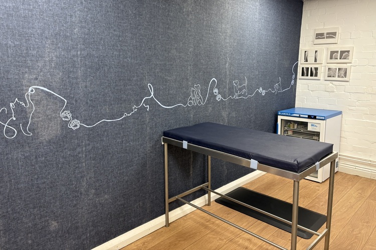 Consultations | Rose Valley Vets