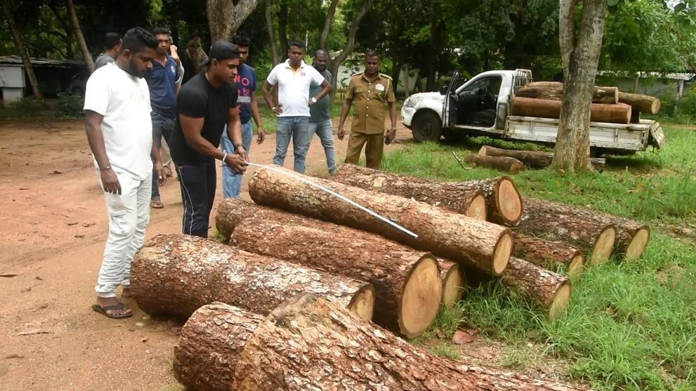 முதிரை மரங்கள் கடத்தல் வவுனியாவில் முறியடிப்பு