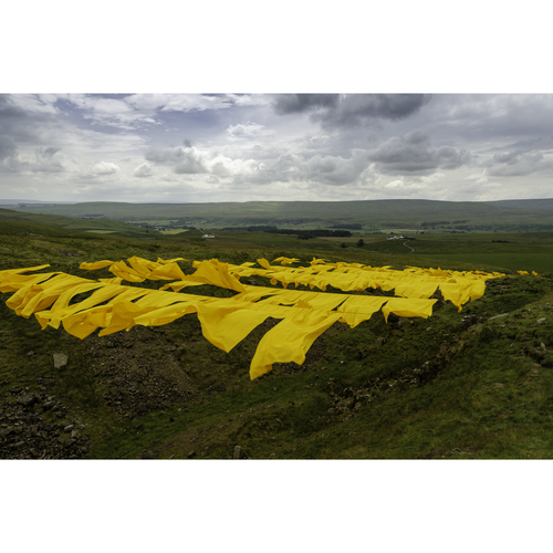 Art installation "Hush" - County Durham