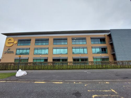 Window Film Image Gallery