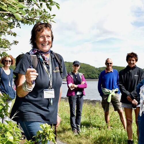 'Come Forage with me!' An interactive foray into the world of Pembrokeshire's wild food | Llangwmlitfest