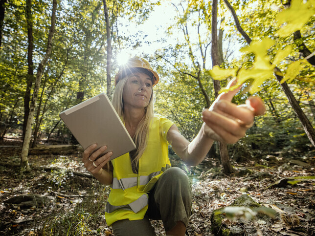 About Us | Omega Ecology Ltd | Preliminary Ecological Assessment (PEA)  | Biodiversity Net Gain (BNG )   | Ecological Clerk of Works (ECoWs)   