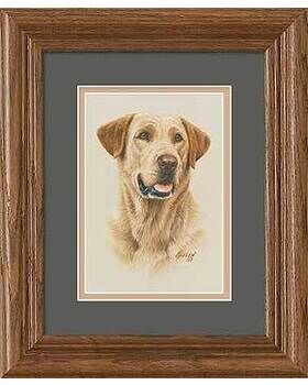 Yellow Labrador by Killen