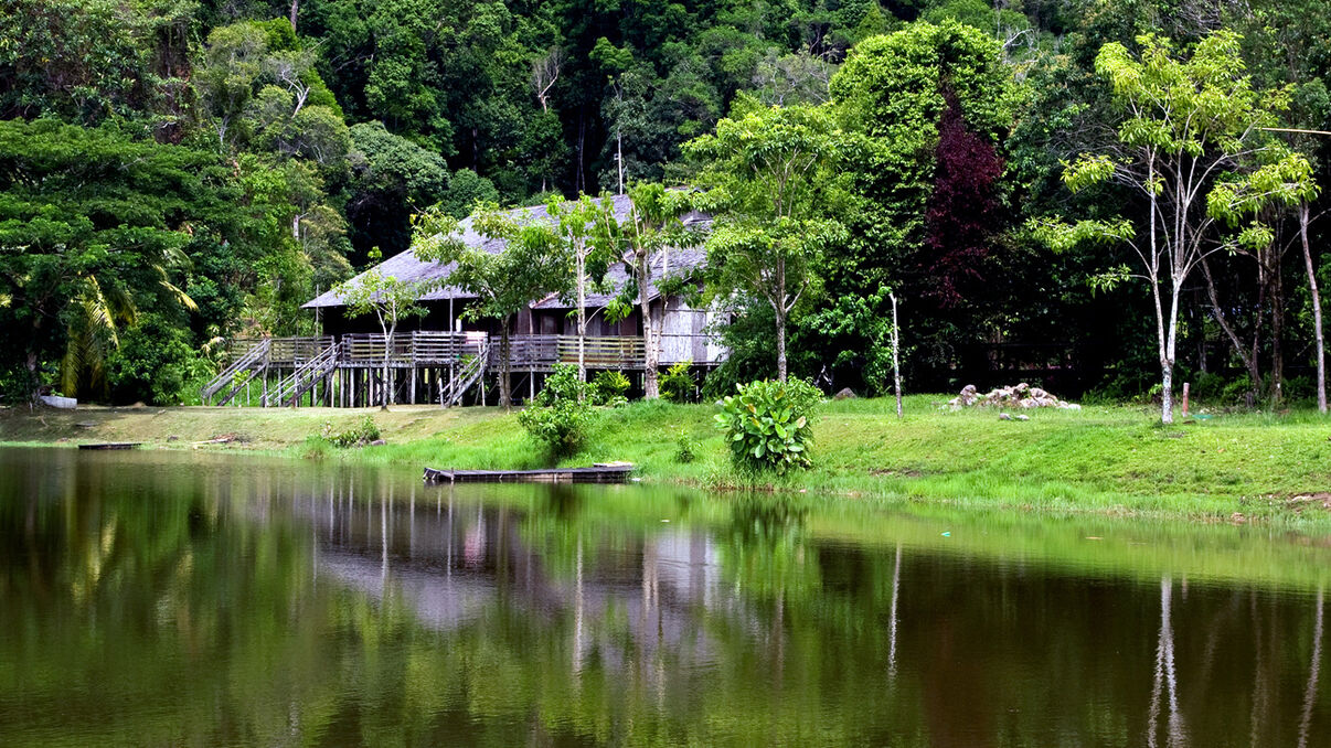 Rainforest Lodge - River Cruise & Nature Walks