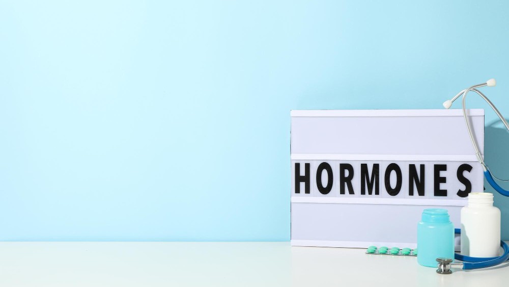 Please can someone explain what body identical hormones actually are?