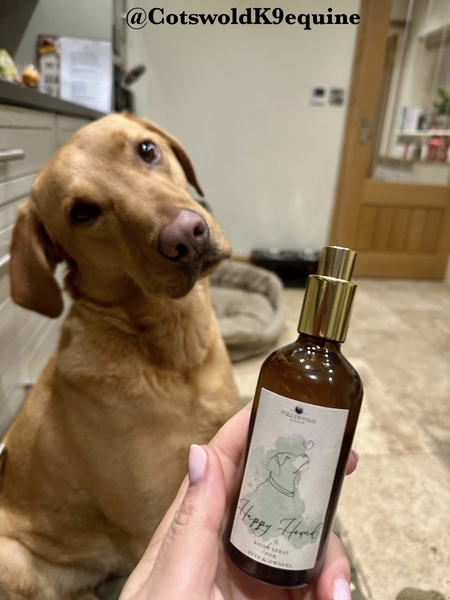 *What Does “Pet-Safe Candle” Really Mean?*