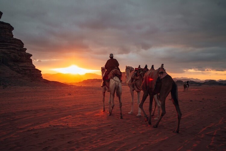 Desert Safari Dubai | Quad Bike Tours | Self Drive Dune Buggy Adventures
