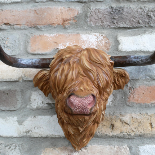 Highland Cow Head Wall Art.